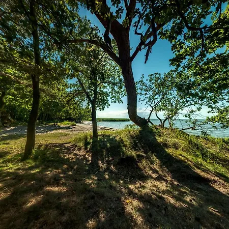 Traumhaff Bootsmanns Domizil Kamin, Privates Nordicspa, Boot In Rieth Am * Luckow (Mecklenburg-Vorpommern)