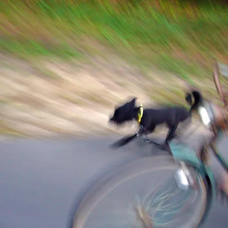 Traumhaff Bootsmanns Domizil Kamin, Privates Nordicspa, Boot In Rieth Am 펜션 *