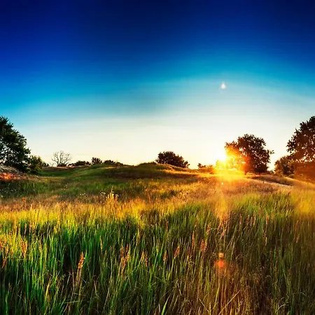 펜션 Traumhaff Bootsmanns Domizil Kamin, Privates Nordicspa, Boot In Rieth Am *